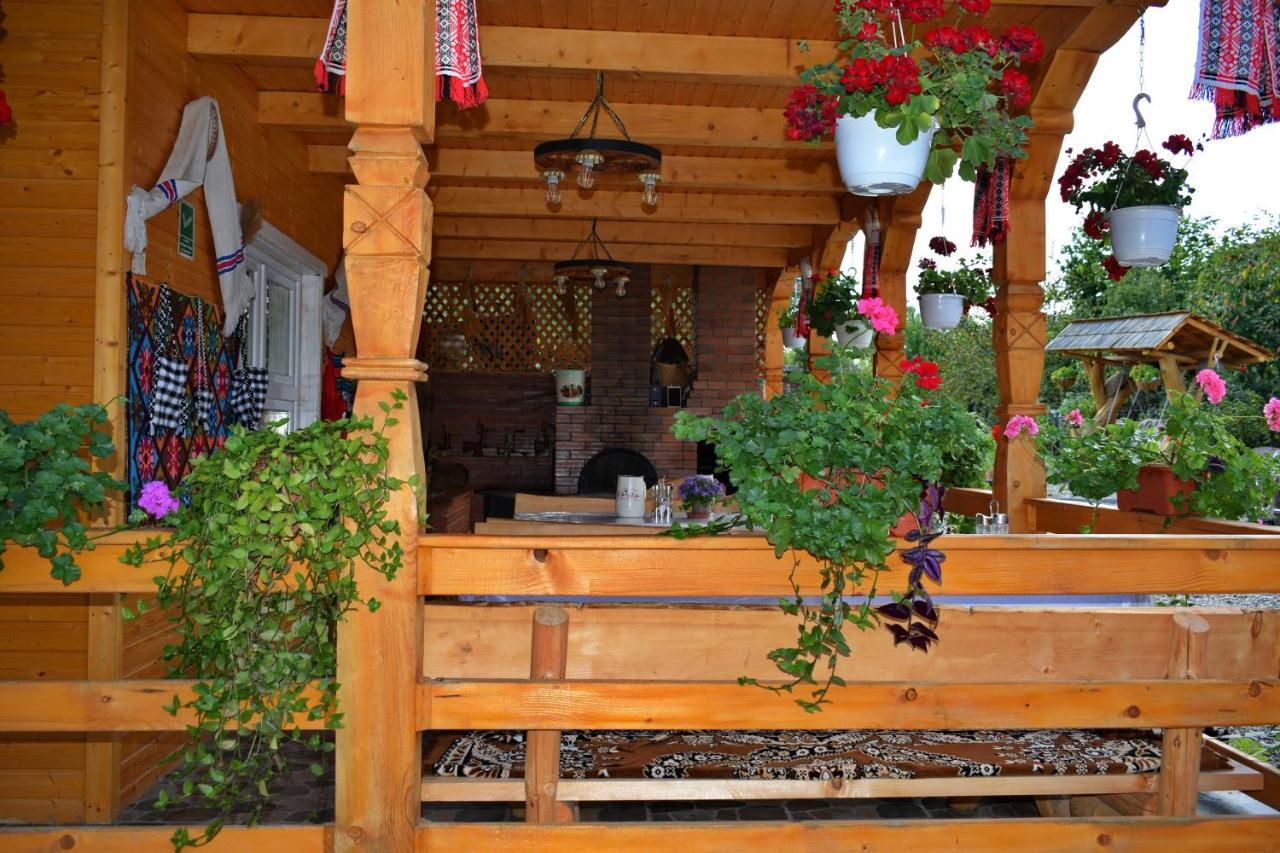 Casa Vladicu Hotel Breb Buitenkant foto