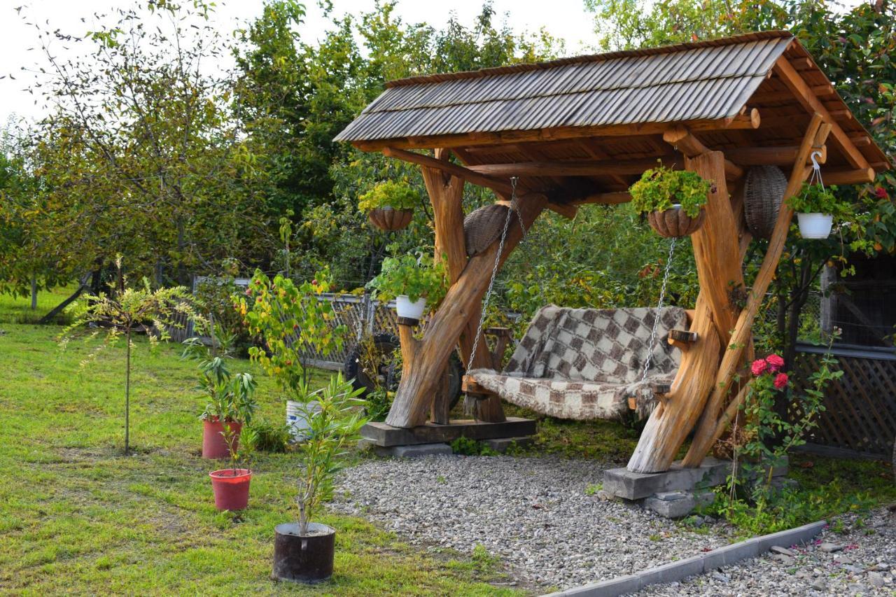 Casa Vladicu Hotel Breb Buitenkant foto