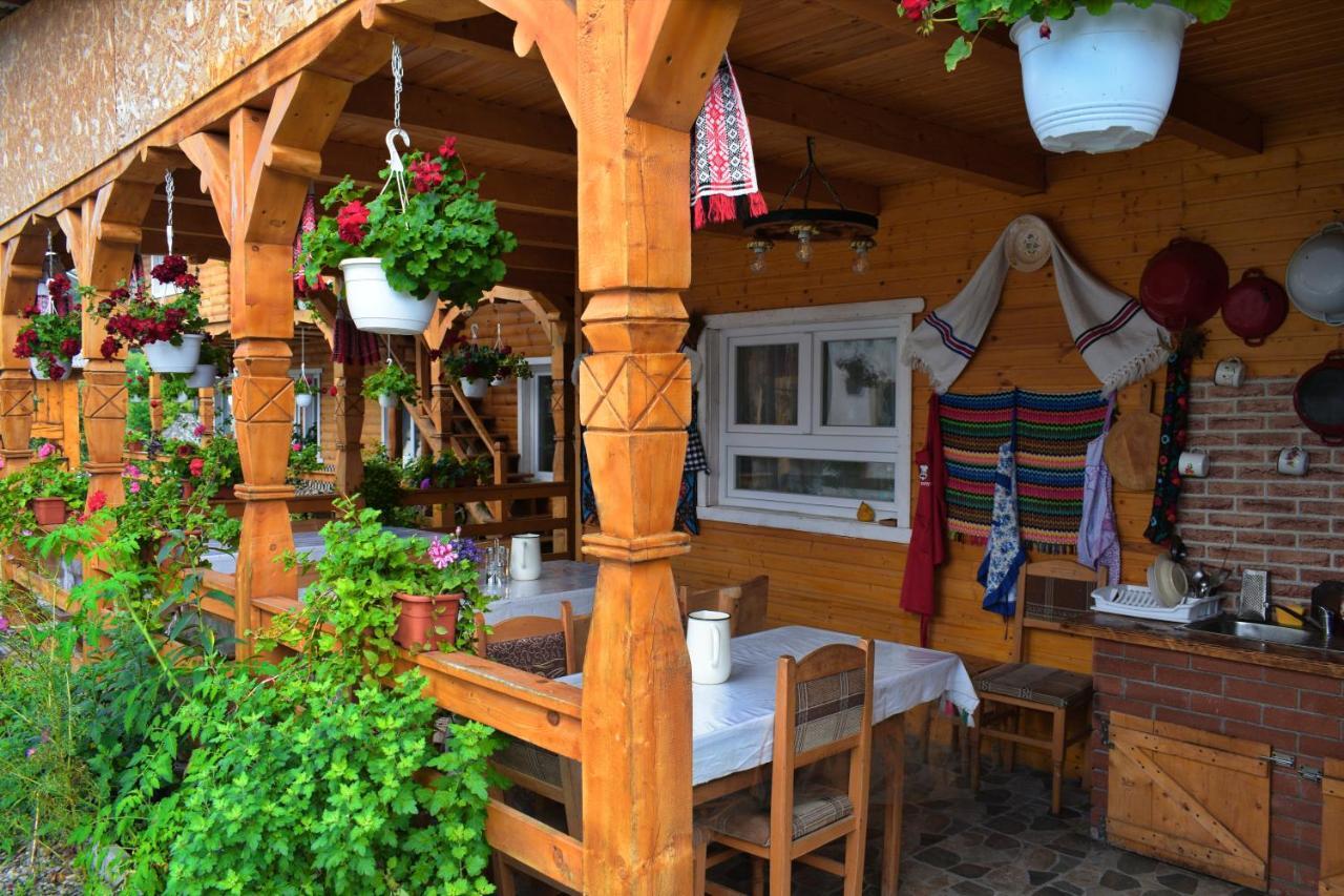 Casa Vladicu Hotel Breb Buitenkant foto