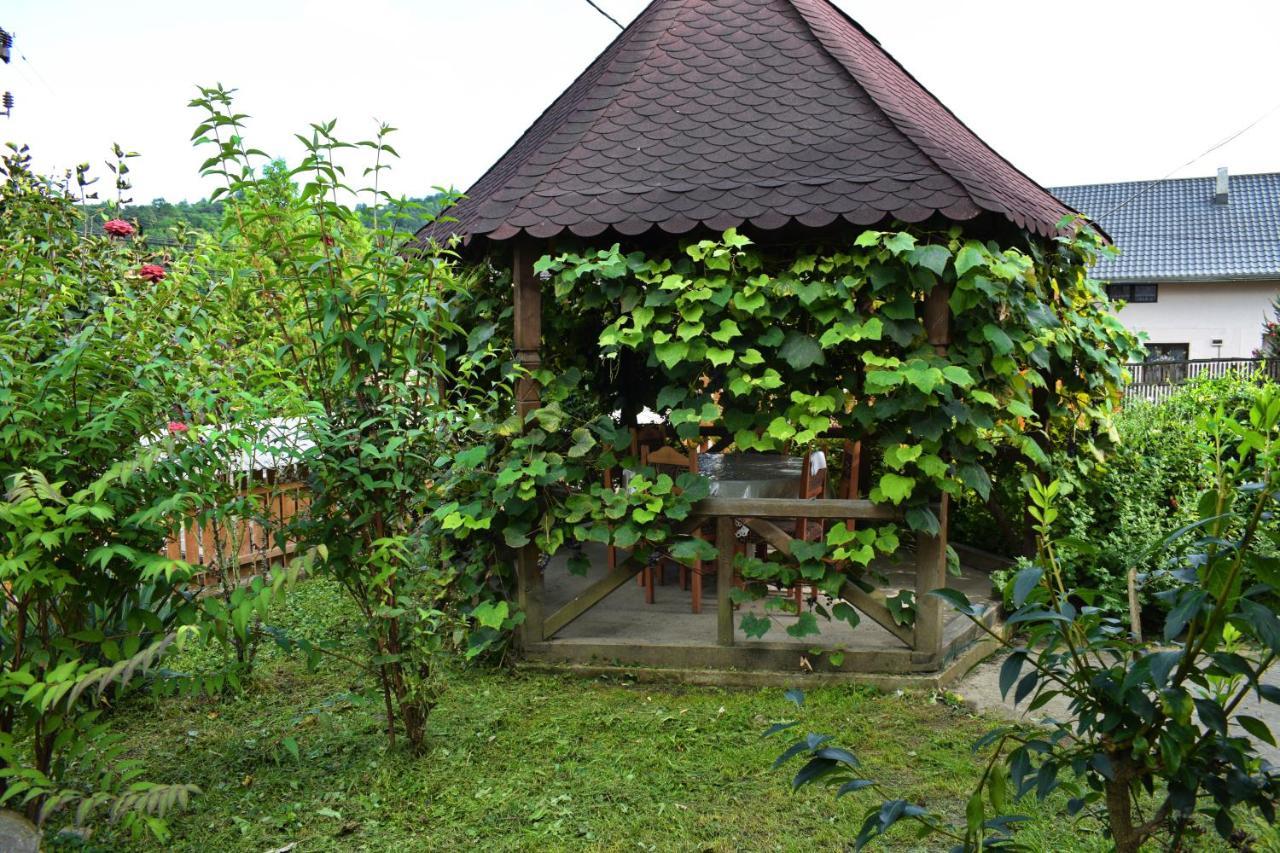 Casa Vladicu Hotel Breb Buitenkant foto